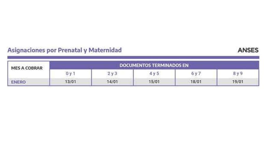 Calendario Anses enero 2021-20201231