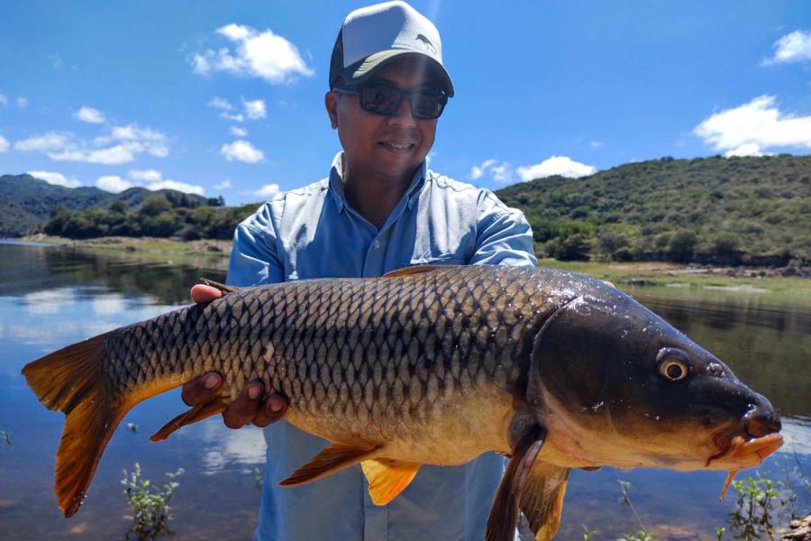 Pesca De Carpas Con Arco En CaZa Y Pesca 