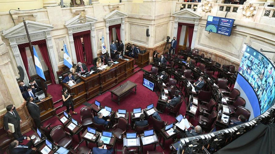 Sesion en el Senado 20210224