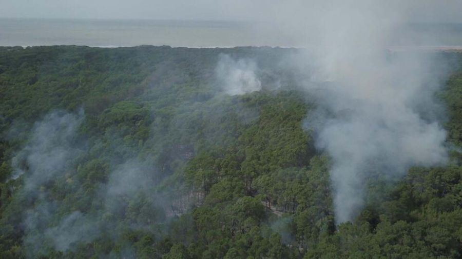 Incendio forestal en la Reserva Natural de Cariló-20210311