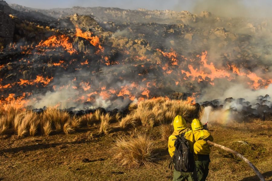 0323_incendios forestales