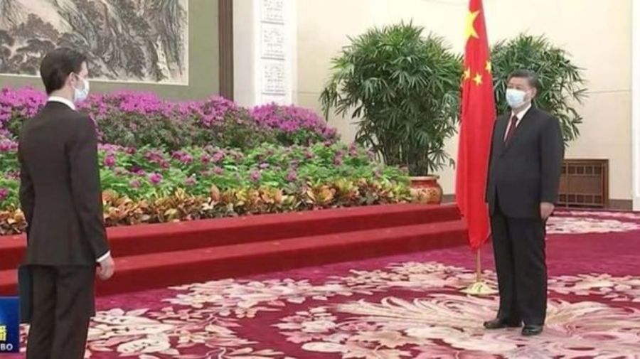 Xi Jinping sabino vaca narvaja china g_20210414