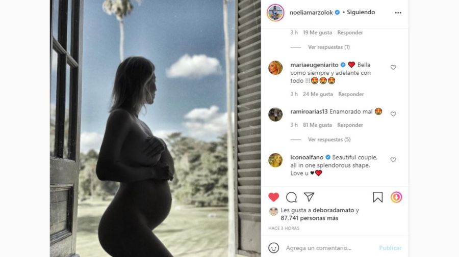 Noelia Marzol desnuda y embarazada