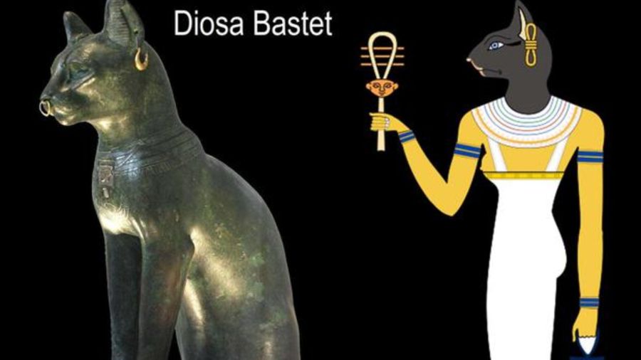 enjuague harina vendaje Weekend | ¿Por qué los gatos eran sagrados para los egipcios?