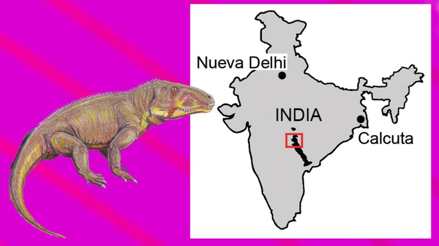 Weekend | Descubren una nueva especie de un milenario reptil de la India