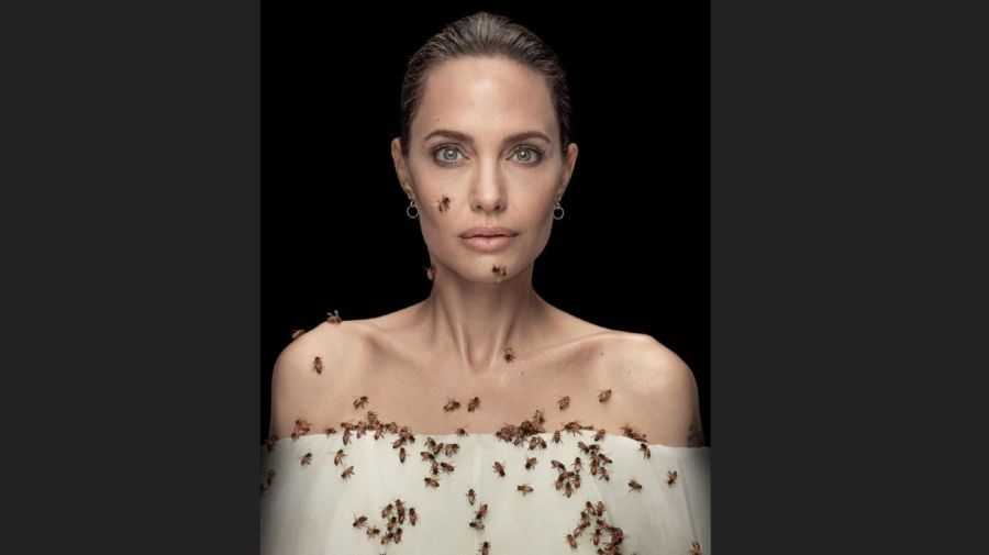 Angelina Jolie con abejas