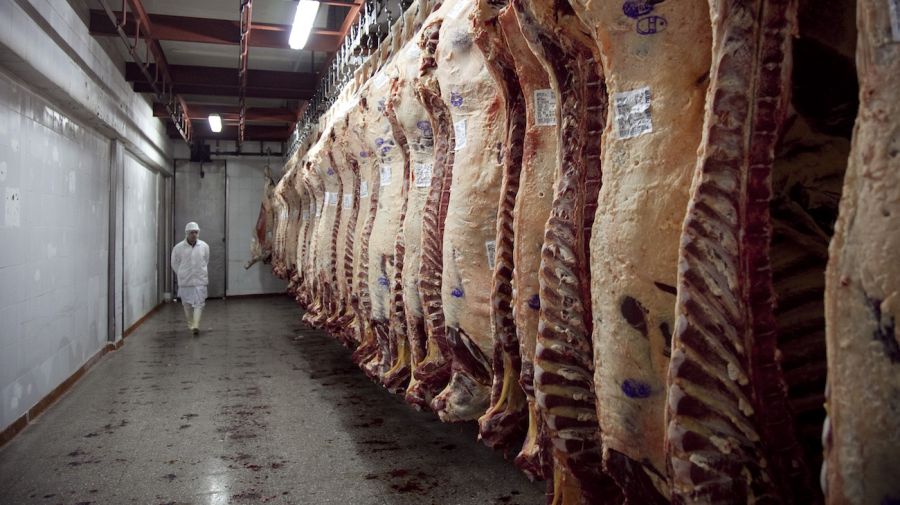 Suspenden a 6 empresas para exportar carne