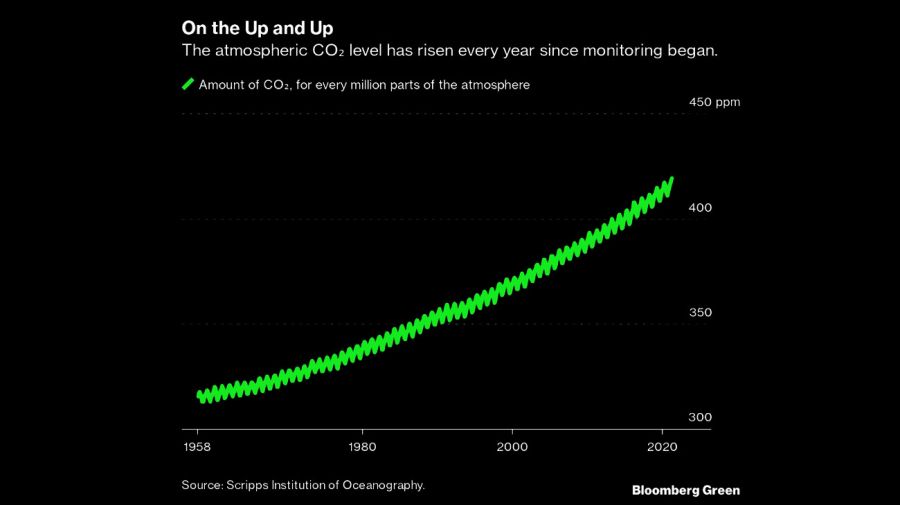 bloomberg graphic