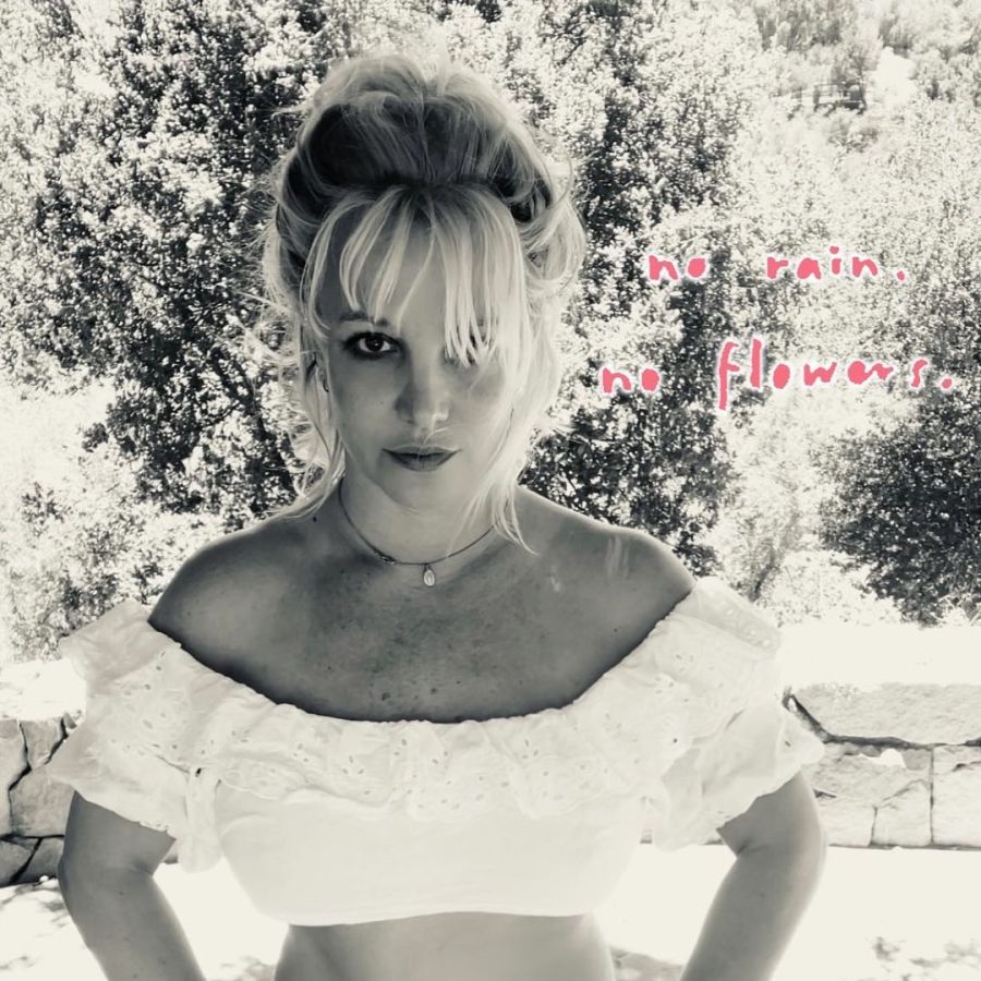 Britney Spears rompió el silencio: 