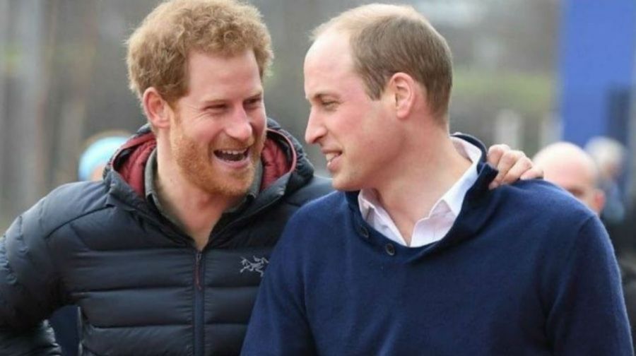 Guillermo y Harry fueron obligados a reducir la lista de invitados en la inauguración de la estatua de Lady Di