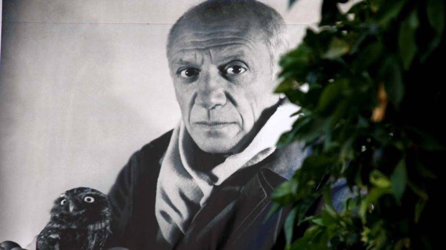 Pablo Picasso-20210630