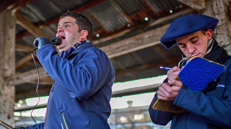 liniers cattle market