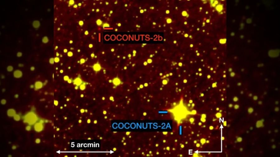 Exoplaneta COCONUTS-2b