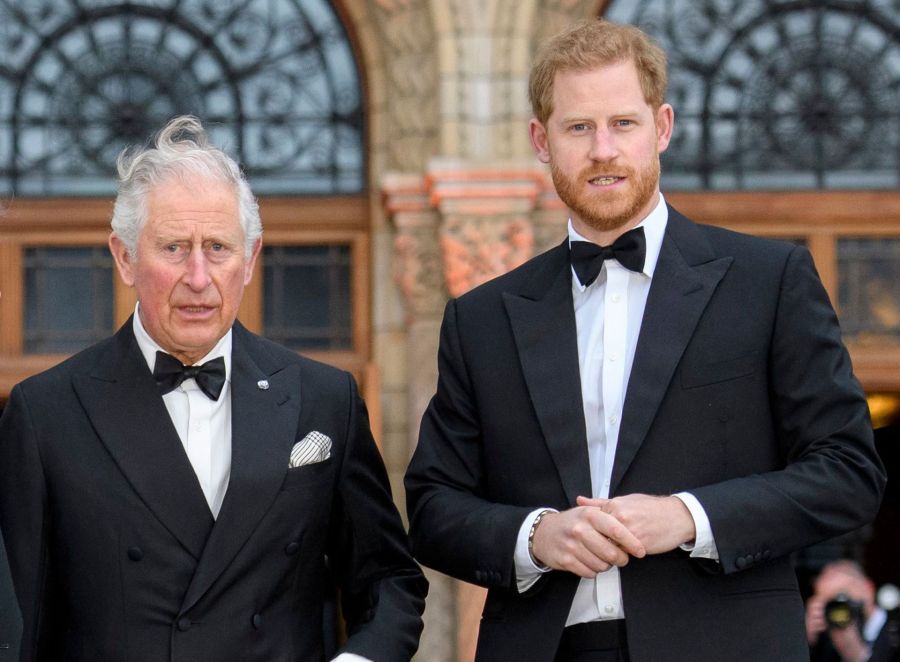 Los príncipes Harry y Andrés en la mira: el Parlamento británico elige su futuro como consejeros 