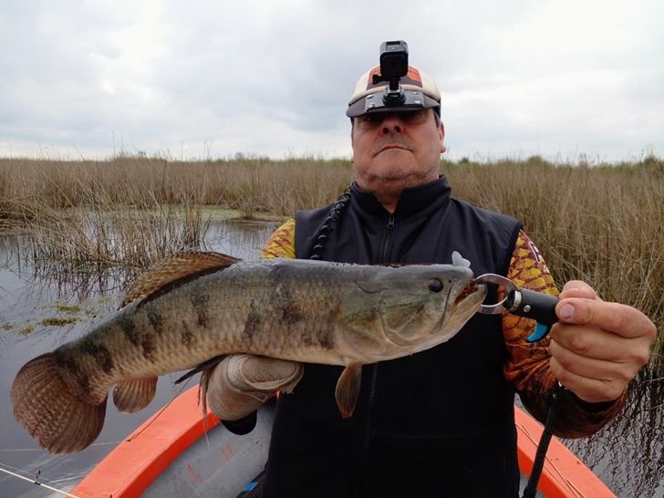 MUELA, Pescadores Limitada