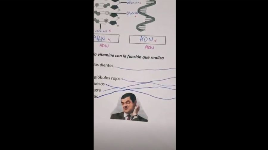 Una docente corrigió los exámenes de sus alumnos con memes y se hizo viral 20211007
