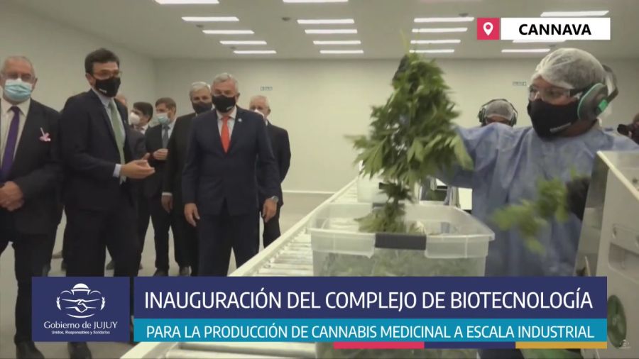 Los funcionarios de Jujuy y el titular de Cannava recorrieron la planta de procesamiento