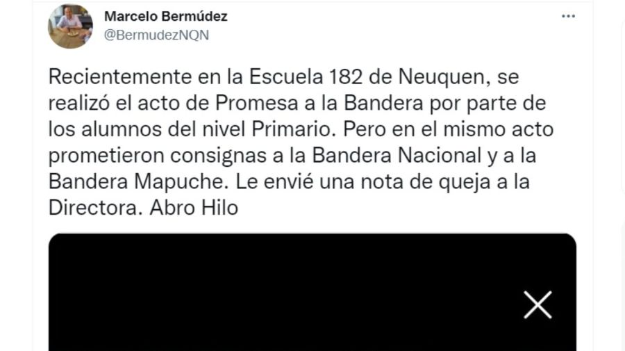 neuquen bandera mapuche marcelo bermudez g_20211026
