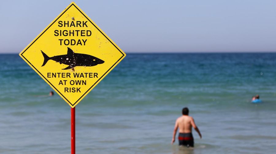 Tiburones atacan a surfista 20211027