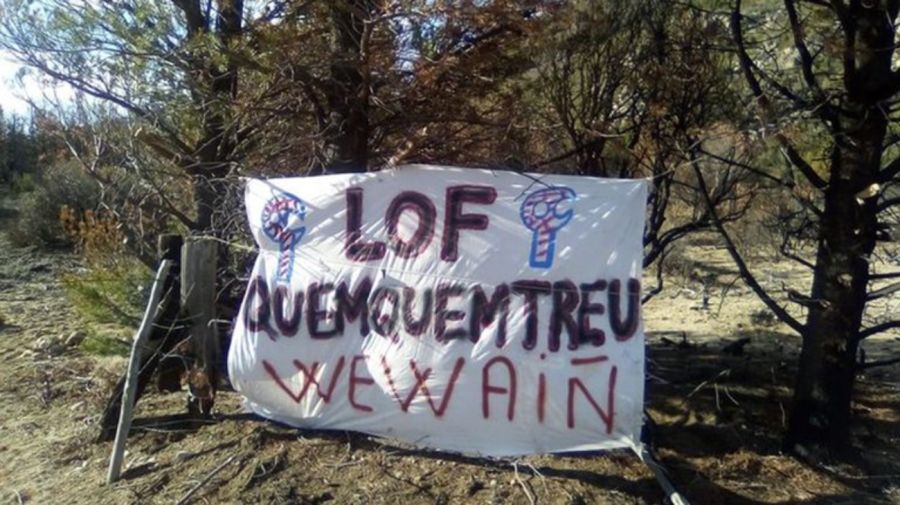Manifestación Mapuche