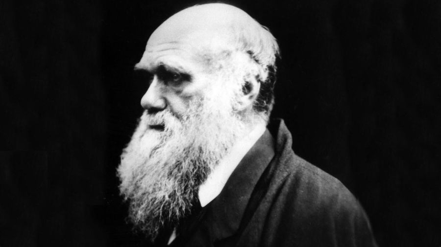 Charles Darwin 20211123