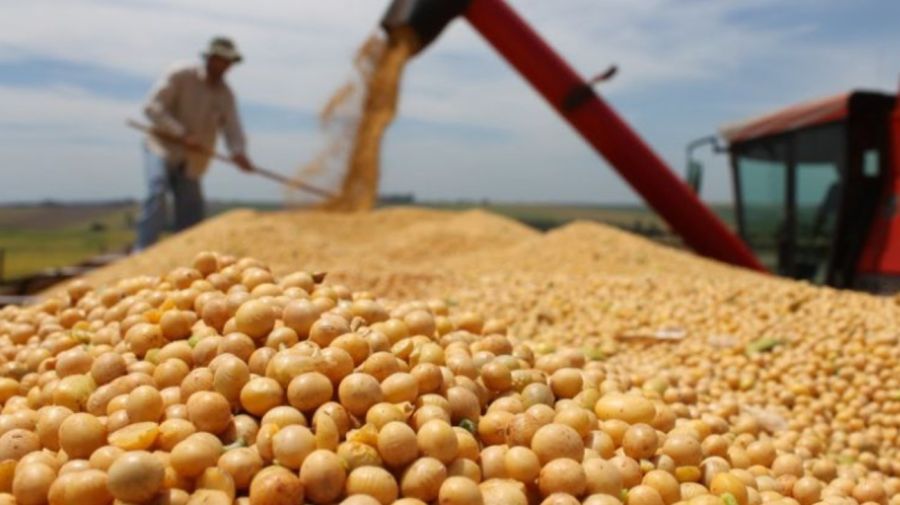 Aumentan los temores de La Niña entre productores de soja de Brasil