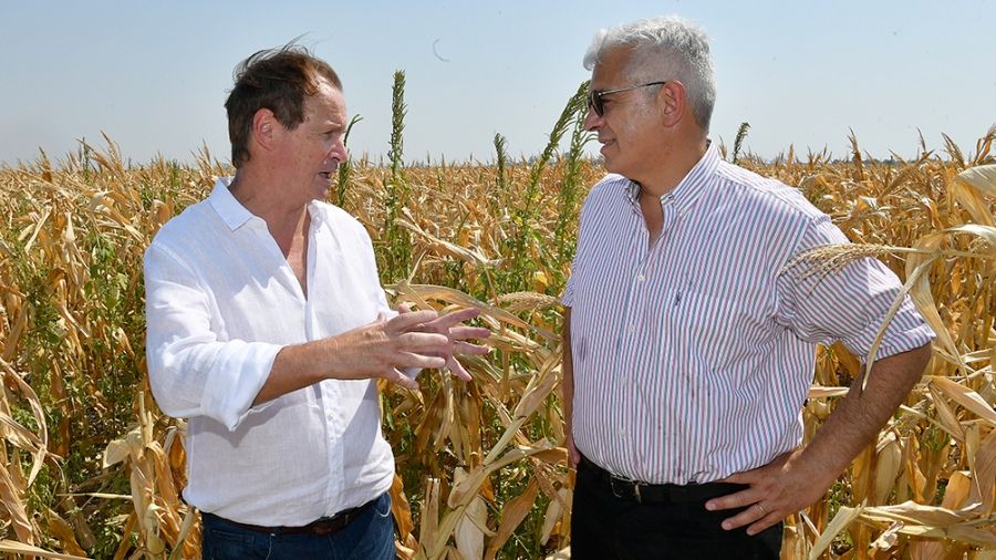 Julián Domínguez recorrió los campos afectados por las sequía