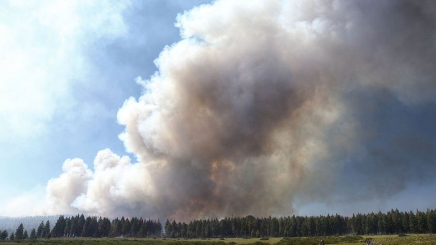 Incendios Corrientes