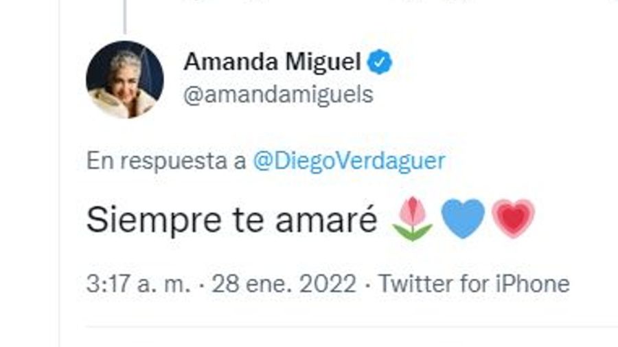 Ultimo mensaje Amanda Miguel a Diego Verdaguer
