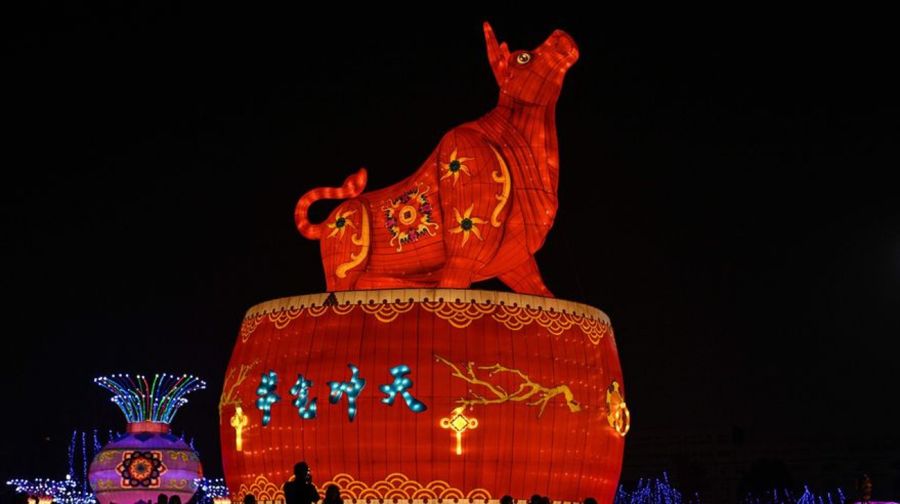 Año Nuevo Chino 2022: ¿cómo recibir el año del Tigre de Agua? 