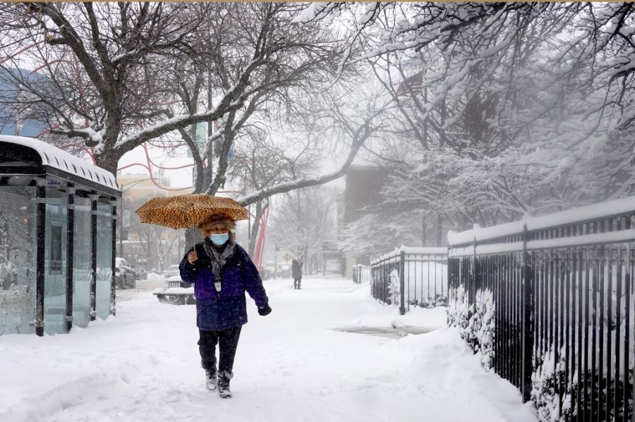 nieve estados unidos