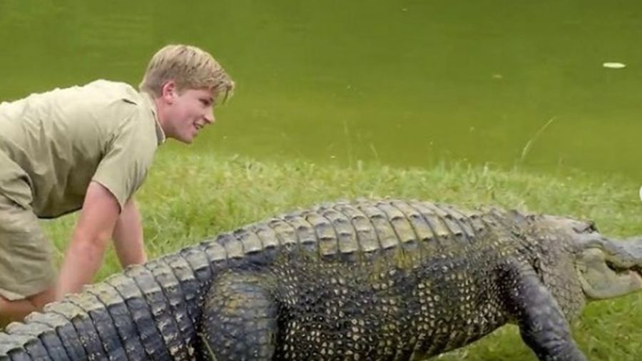 El hijo de Steve Irwin casi pierde la vida por un gigantesco cocodrilo |  Weekend
