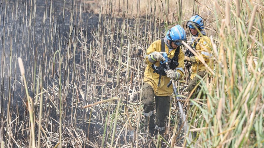 incendios corrientes