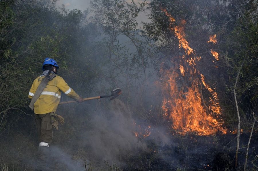 Incendios en Corrientes afp