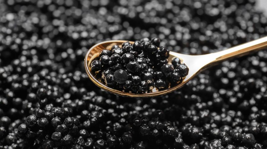 Caviar 20220311