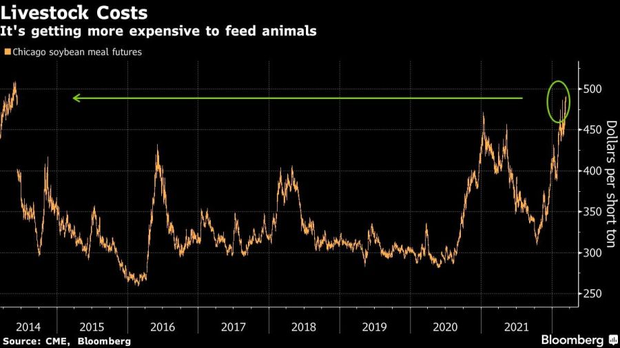 It's getting more expensive to feed animals