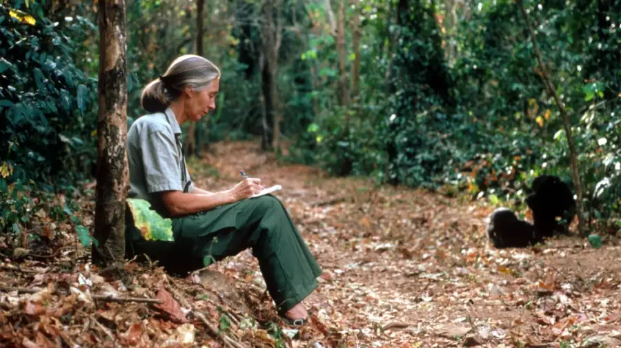 Jane Goodall