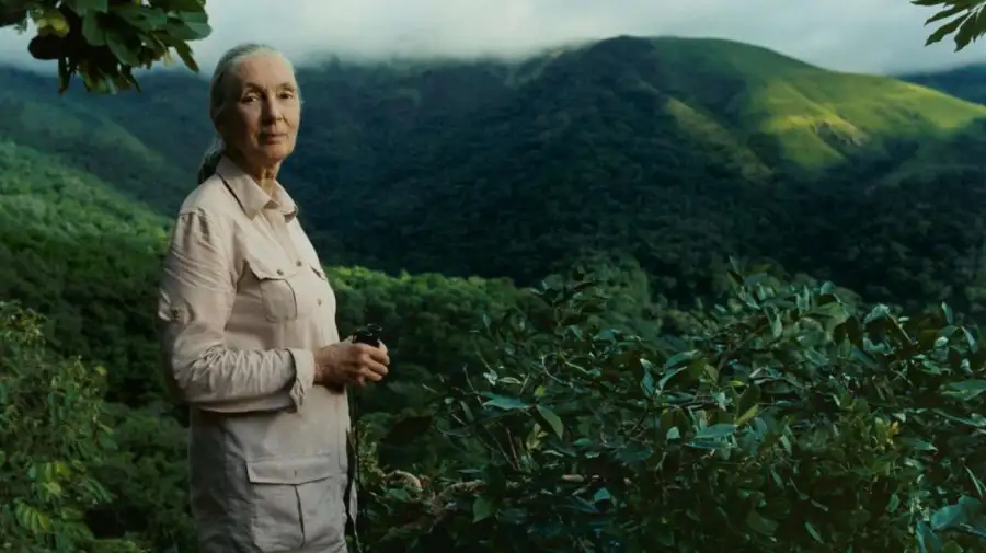 Jane Goodall