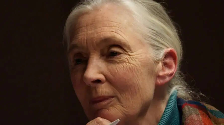 Jane Goodall