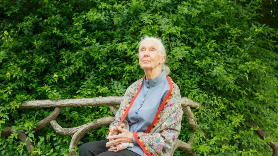 Jane Goodall