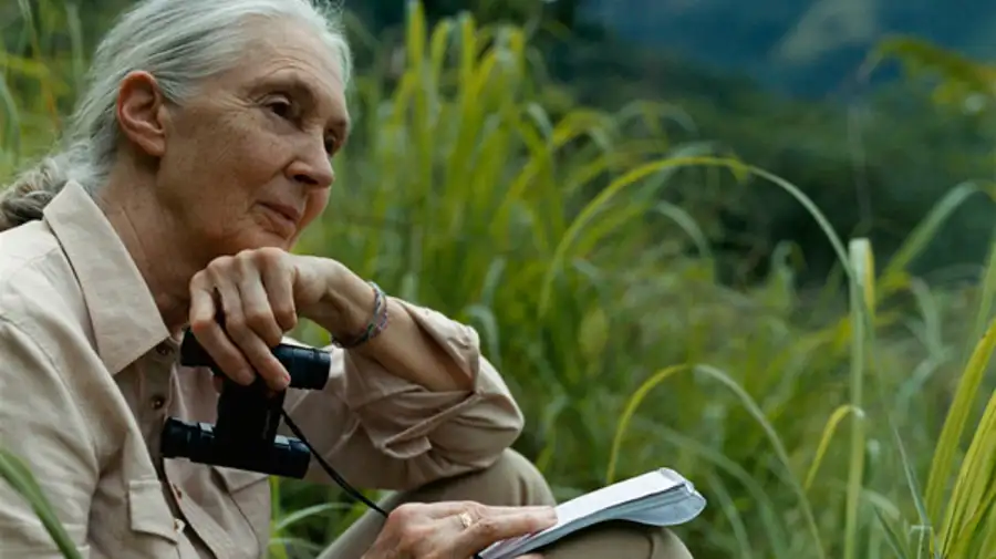 Jane Goodall
