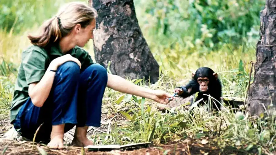 Jane Goodall