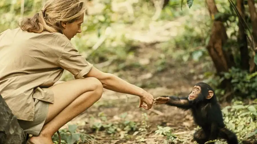 Jane Goodall