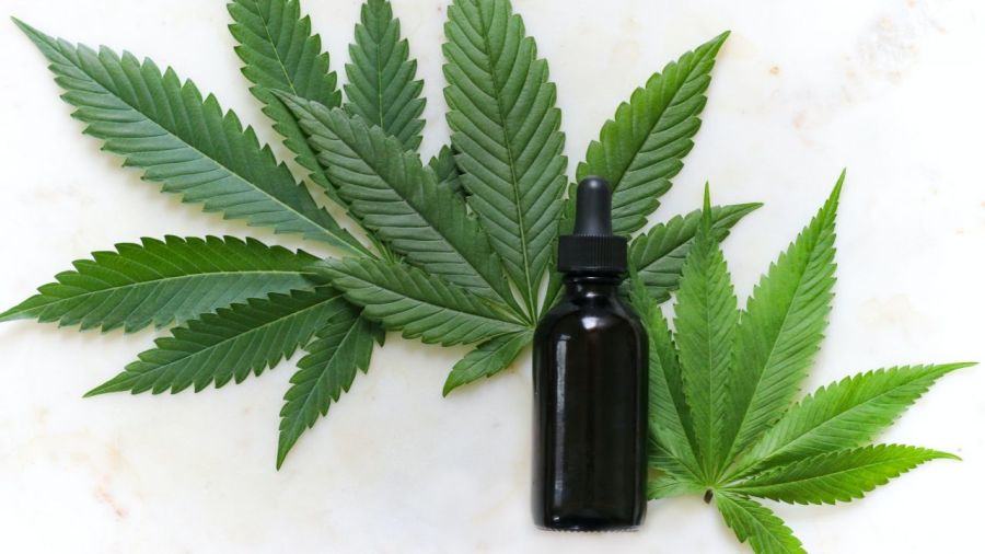 Marihuana: 7 beneficios del aceite de Cannabis para la piel