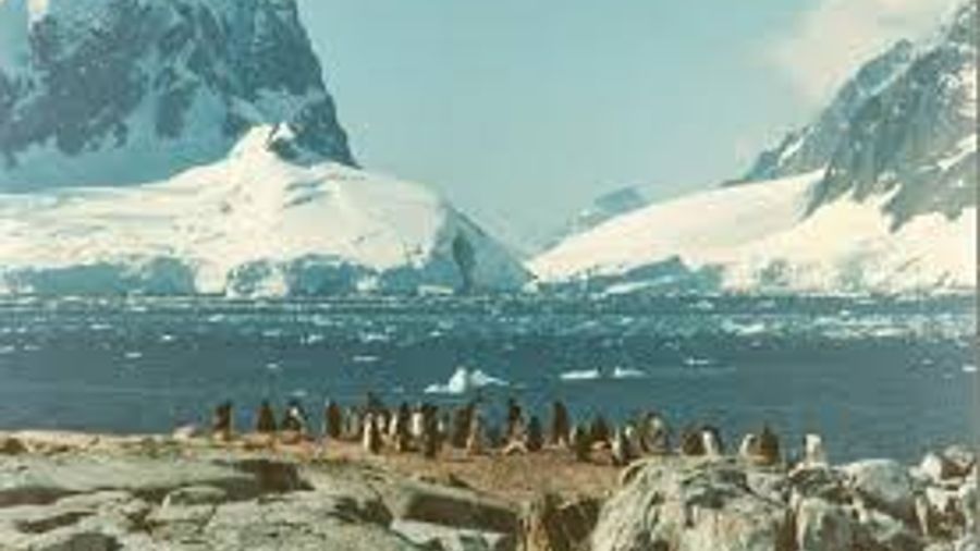 2104_Antártida