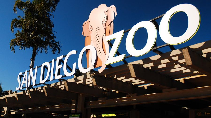 Zoologico de San Diego elefantes 20220421