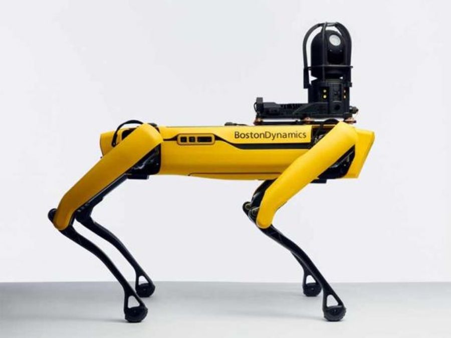 2504_perro robot