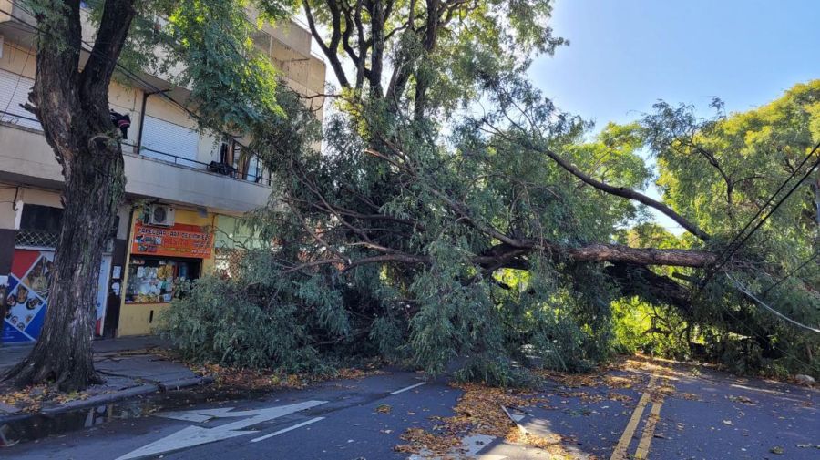 Temporal en laCiudad de Buenos Aires 20220427