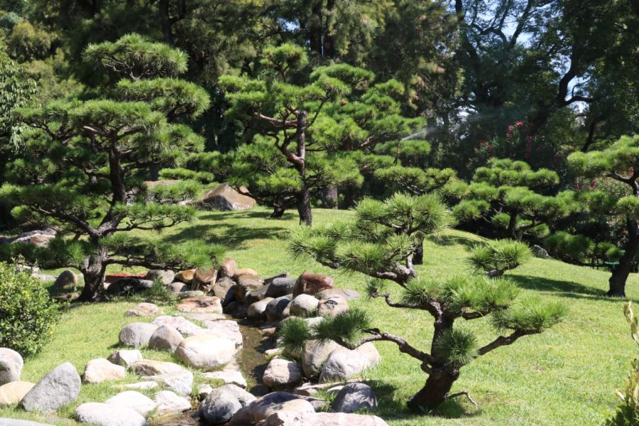 Jardín Japonés de Buenos Aires