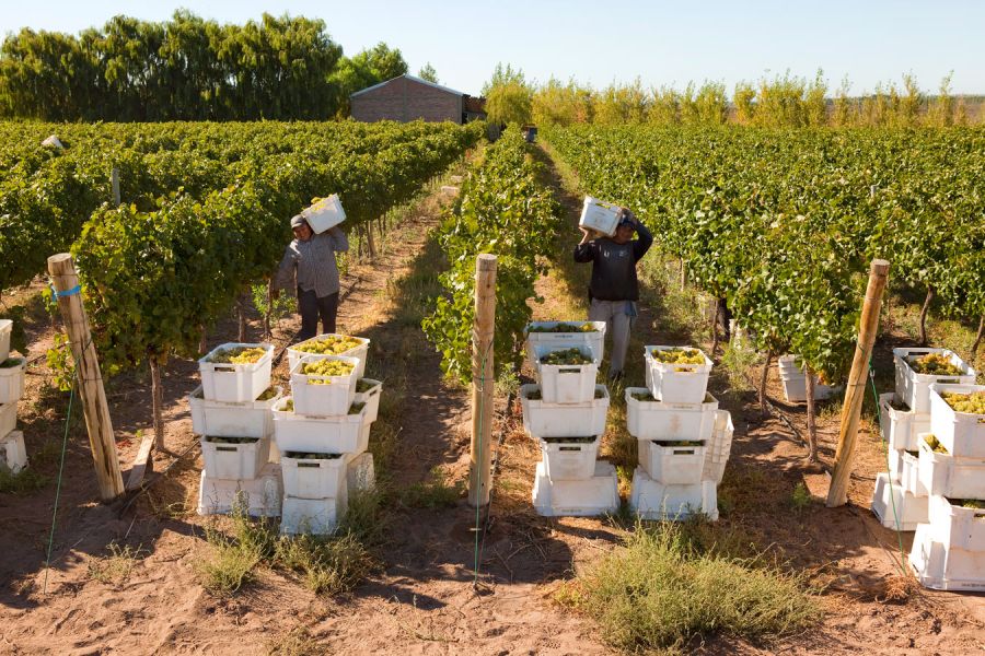 Bodega del Fin del Mundo